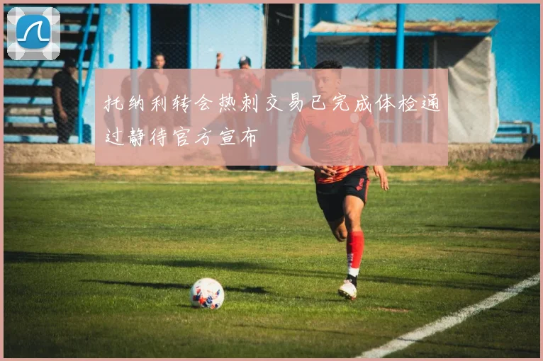 托纳利转会热刺交易已完成体检通过静待官方宣布