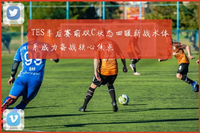 TES季后赛前双C状态回暖新战术体系成为备战核心焦点